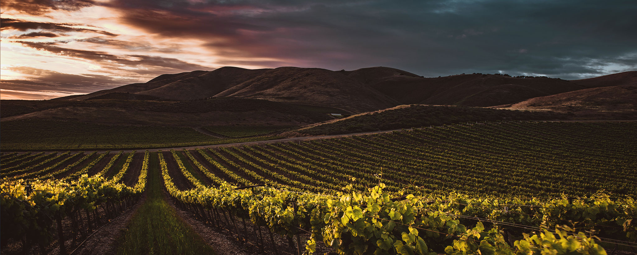 winery at sunset